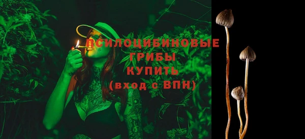 тгк Балахна